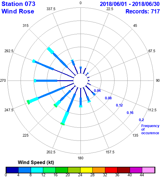 rose plot