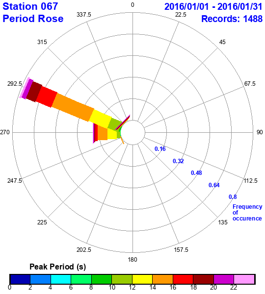 rose plot