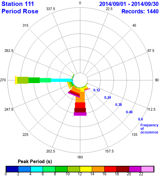 rose plot