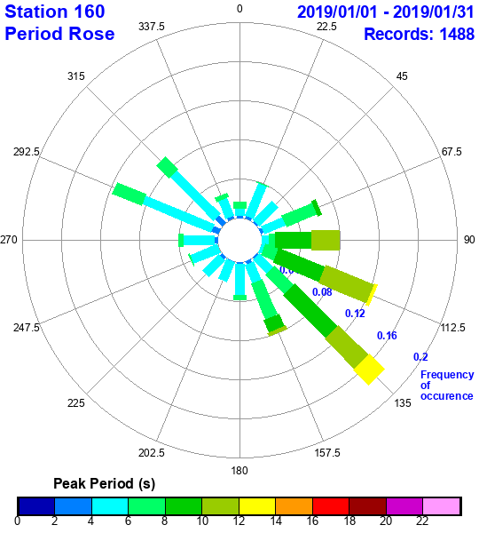 rose plot