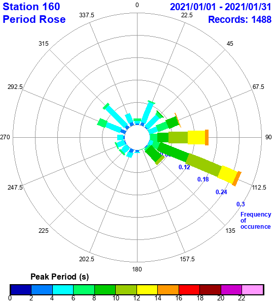 rose plot