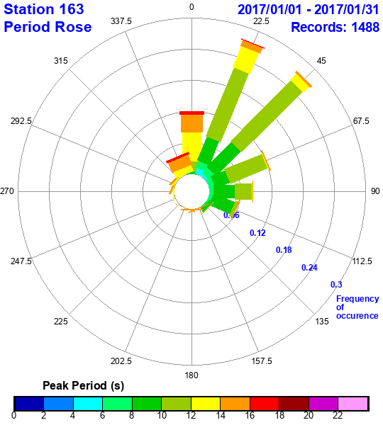 rose plot