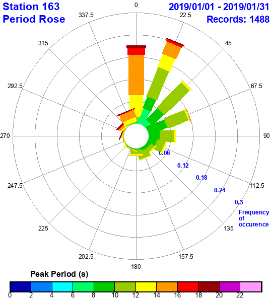 rose plot