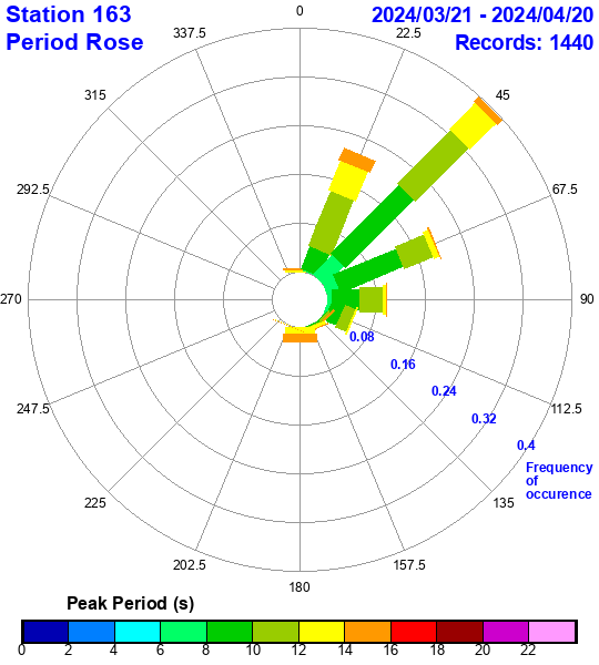 rose plot