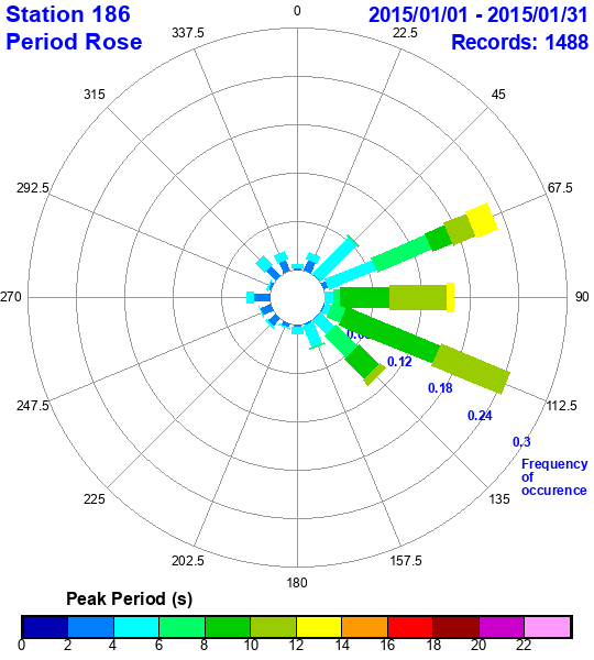 rose plot