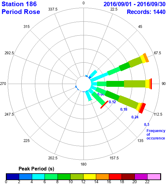 rose plot