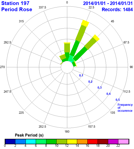 rose plot