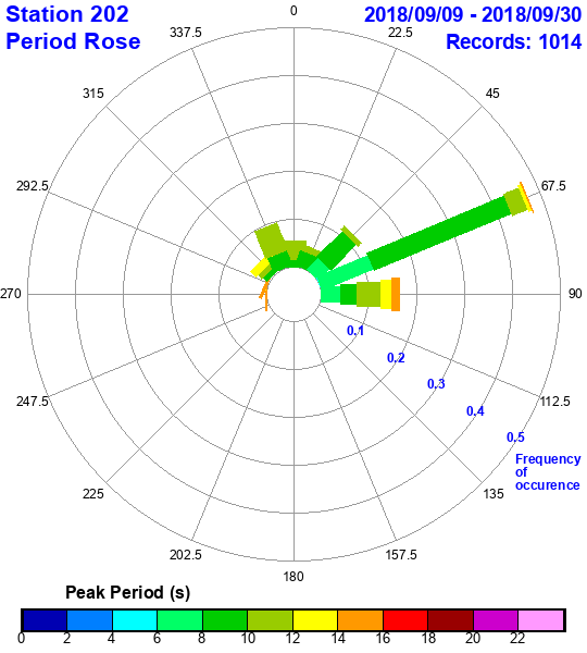 rose plot