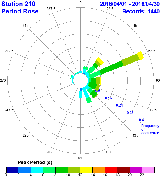 rose plot