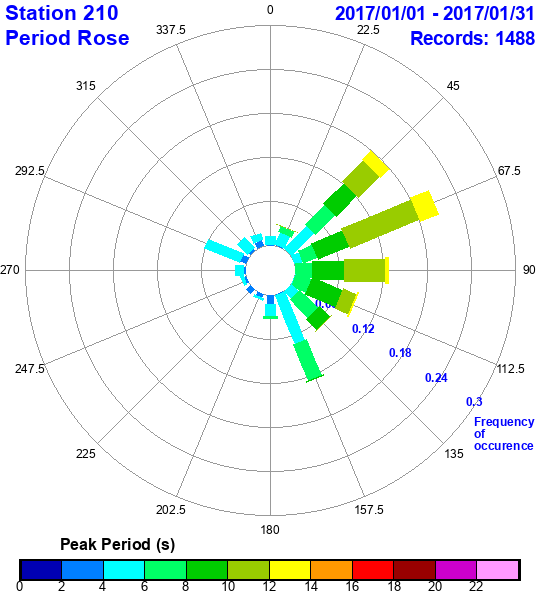 rose plot