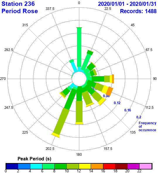 rose plot