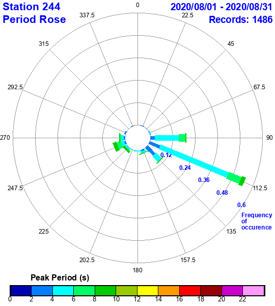 rose plot