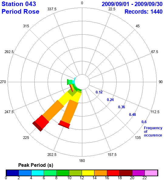 rose plot