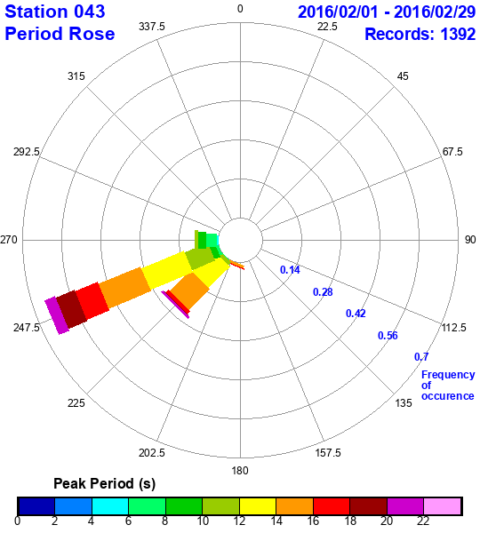 rose plot