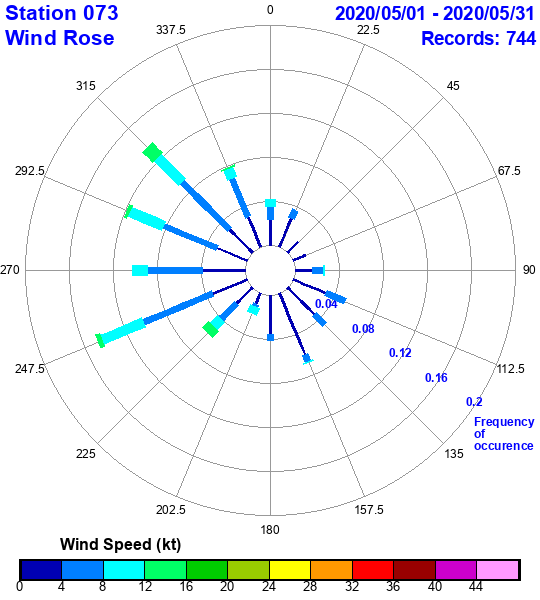 rose plot