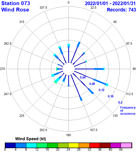 rose plot