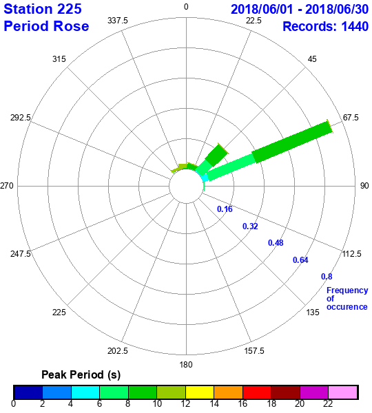 rose plot