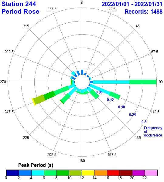 rose plot