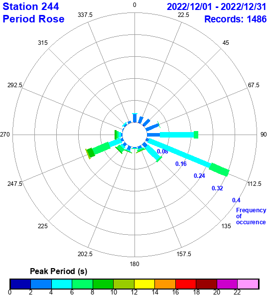 rose plot