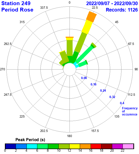 rose plot